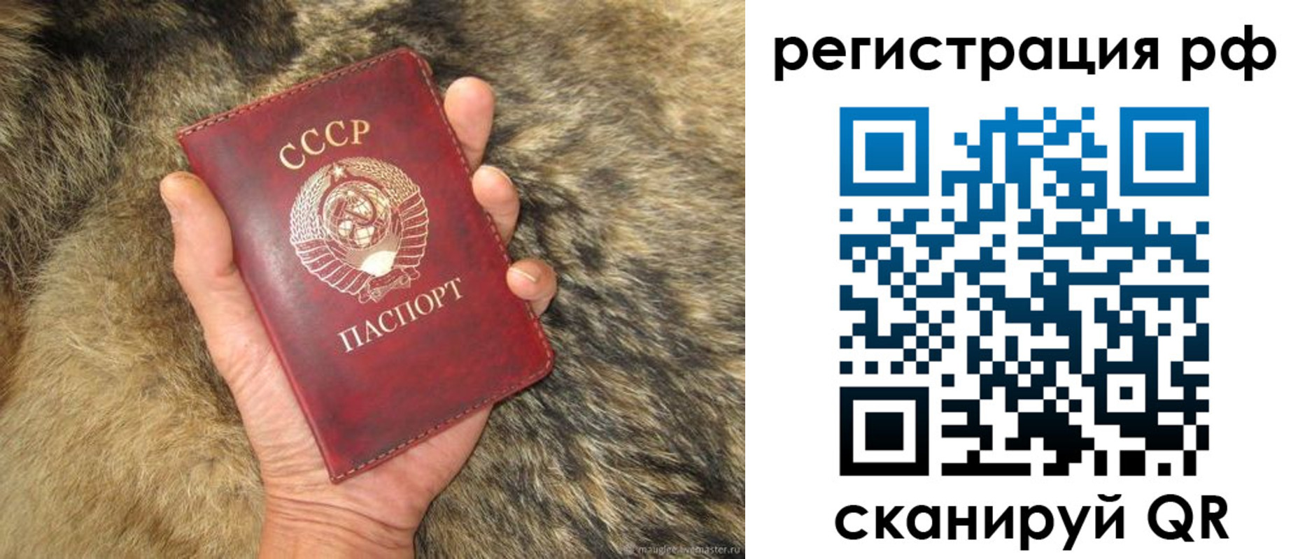 прописка для военкомата в Светлогорске